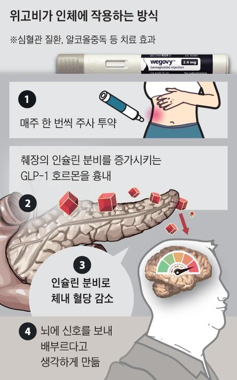 glp-1 효과 당뇨병 치료제] GLP1 receptor agonists(GLP-1 유사체) 알아보기 비만약, 체중 20% 감량 시대